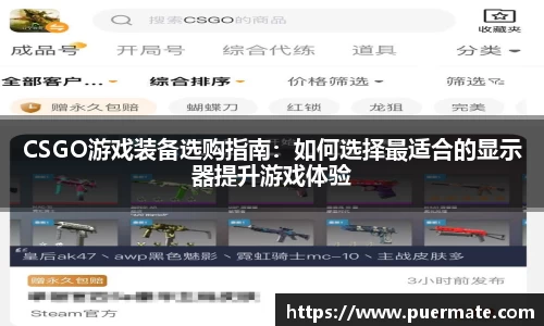 CSGO游戏装备选购指南：如何选择最适合的显示器提升游戏体验